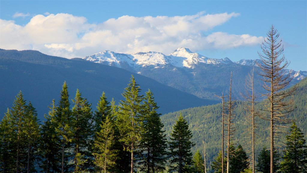 Revelstoke mostrando montanhas e cenas tranquilas