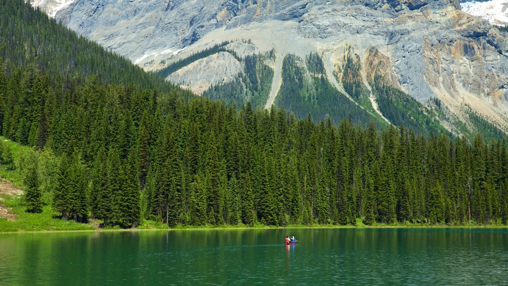 Yoho National Park mostrando cenas tranquilas, um lago ou charco e caiaque ou canoagem