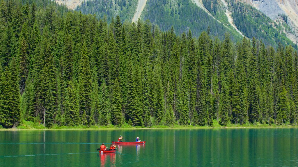 Yoho National Park que incluye kayak o canoa, un lago o abrevadero y escenas forestales