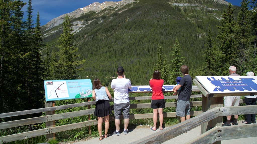 Yoho National Park showing views, tranquil scenes and signage