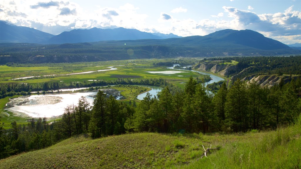 Radium Hot Springs featuring a river or creek and tranquil scenes