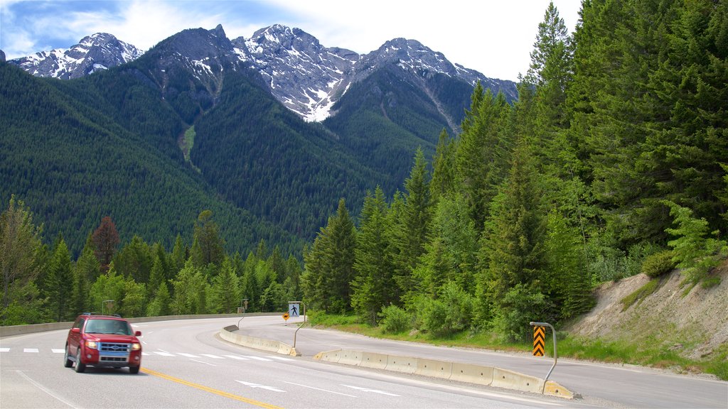 Kootenay National Park que incluye escenas tranquilas y montañas