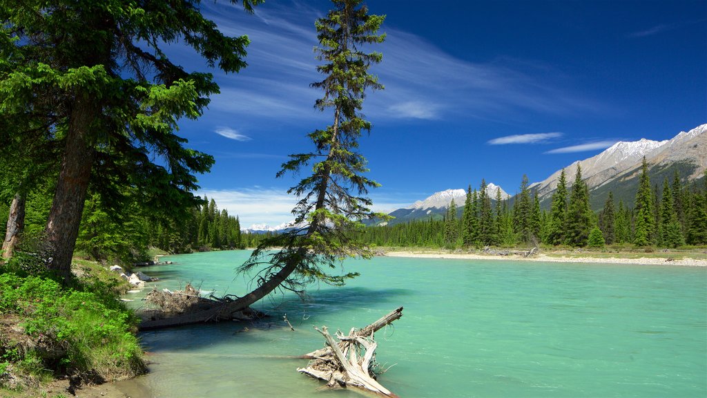 Invermere showing tranquil scenes and a river or creek