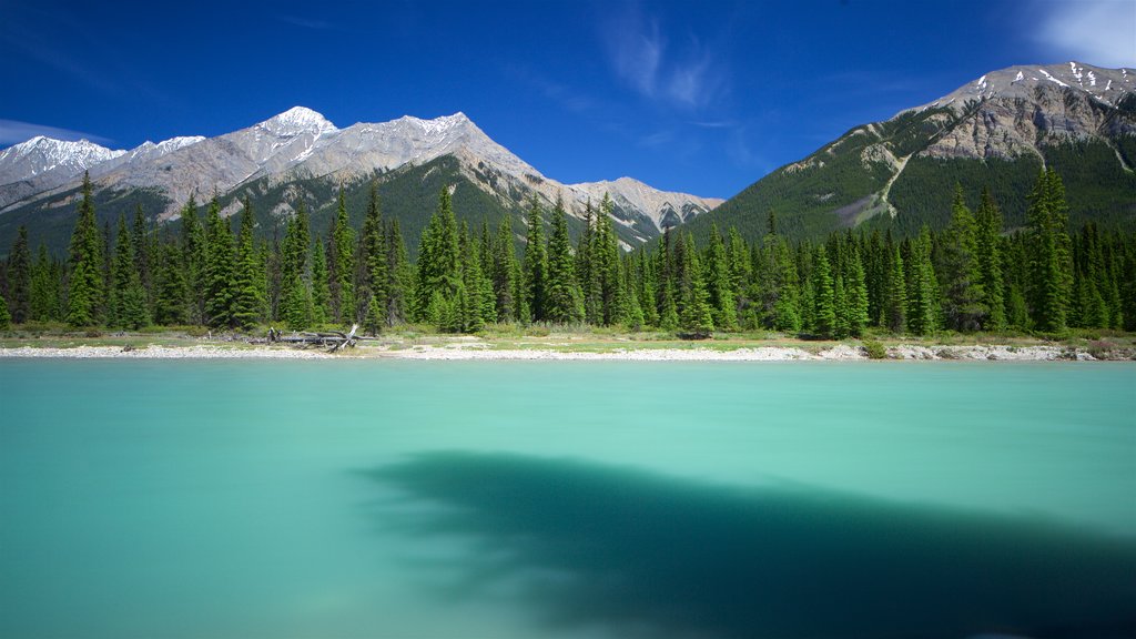 Kootenay National Park mostrando cenas tranquilas e um rio ou córrego