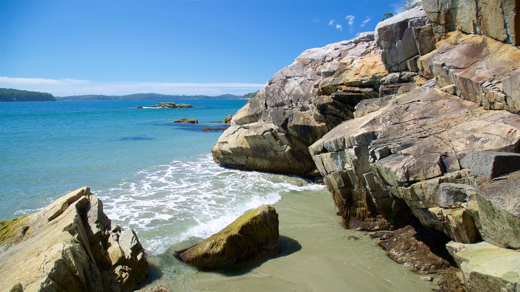 Tonquin Park mostrando paisagens litorâneas e litoral acidentado