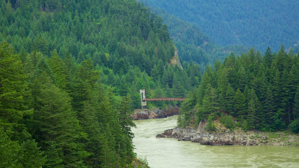 Hope showing tranquil scenes and a river or creek