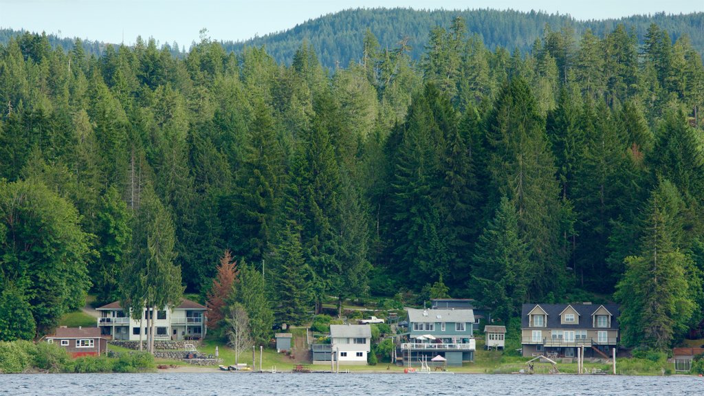 Sproat Lake Petroglyphs que incluye una pequeña ciudad o pueblo, escenas tranquilas y un lago o abrevadero