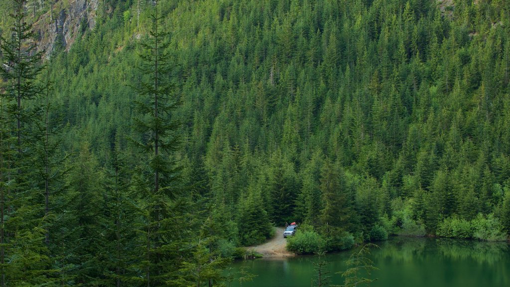 Port Alberni showing tranquil scenes and a lake or waterhole