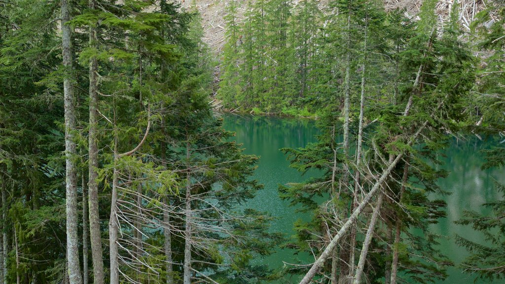 Port Alberni que incluye un lago o espejo de agua