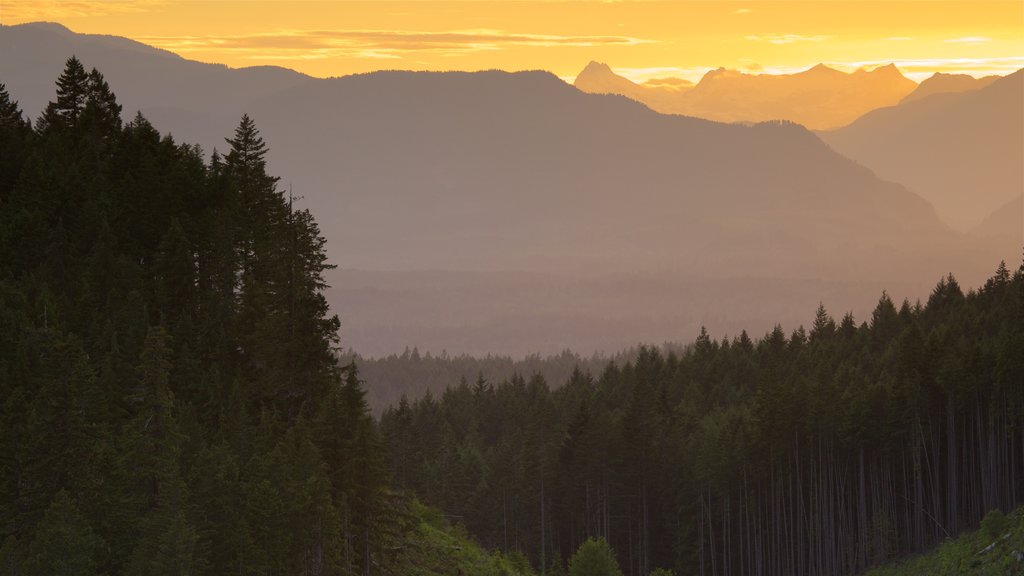 Port Alberni showing tranquil scenes, landscape views and a sunset