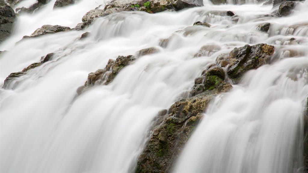 Taman Provinsi Englishman River Falls menampilkan terasering