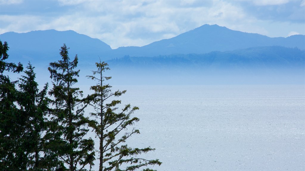 Sooke que incluye neblina o niebla y un lago o abrevadero