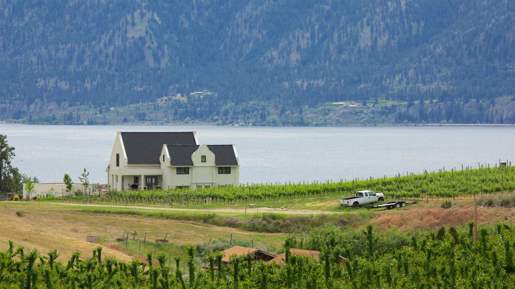 Penticton mostrando um lago ou charco, uma casa e cenas tranquilas