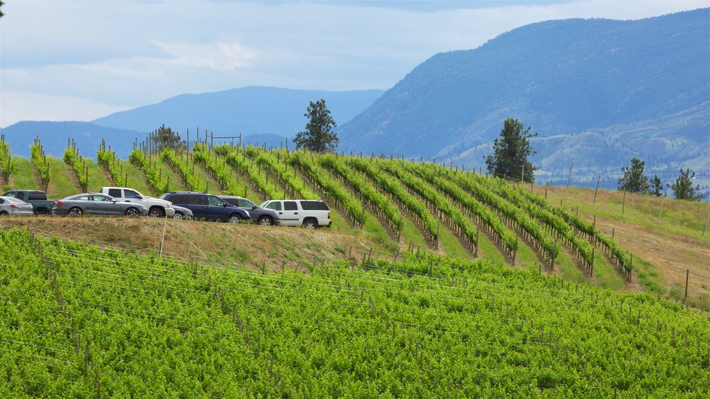 Penticton showing tranquil scenes and farmland