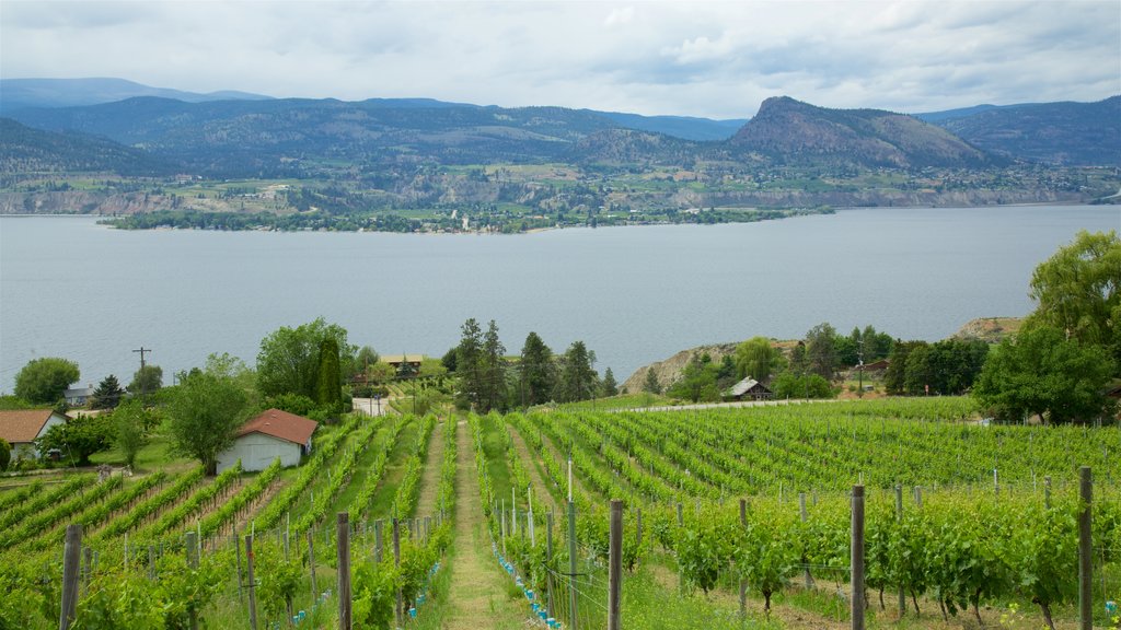 Penticton que incluye tierras de cultivo, escenas tranquilas y un lago o abrevadero