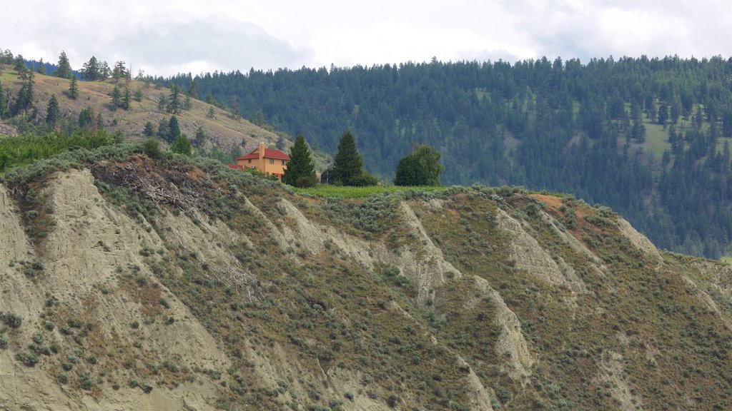 Penticton which includes tranquil scenes