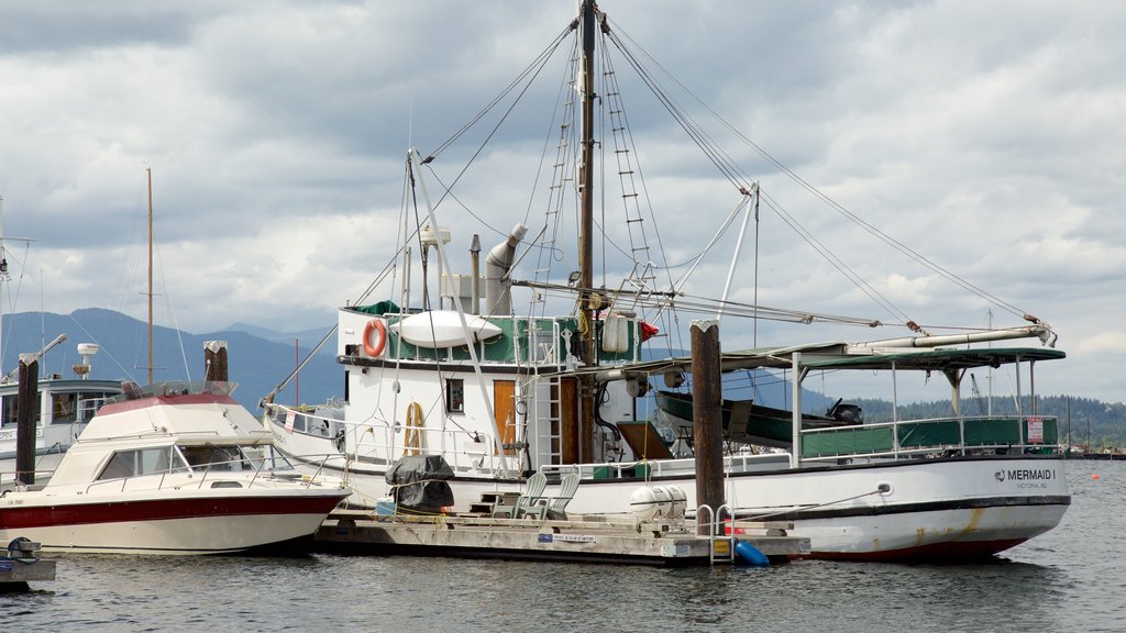 Cowichan Bay featuring a bay or harbour