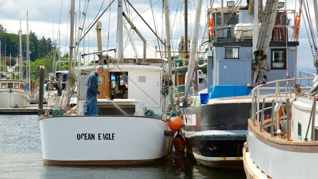 Cowichan Bay que incluye una bahía o un puerto