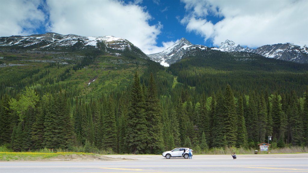 Glacier National Park mostrando montañas y escenas tranquilas