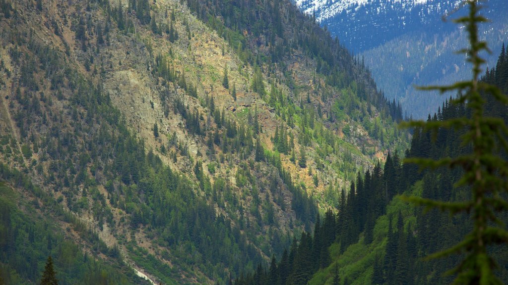 Nationaal park Glacier inclusief vredige uitzichten