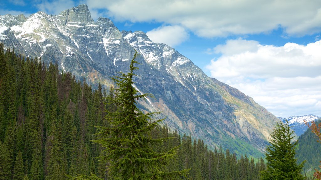 Glacier National Park que incluye montañas y escenas tranquilas