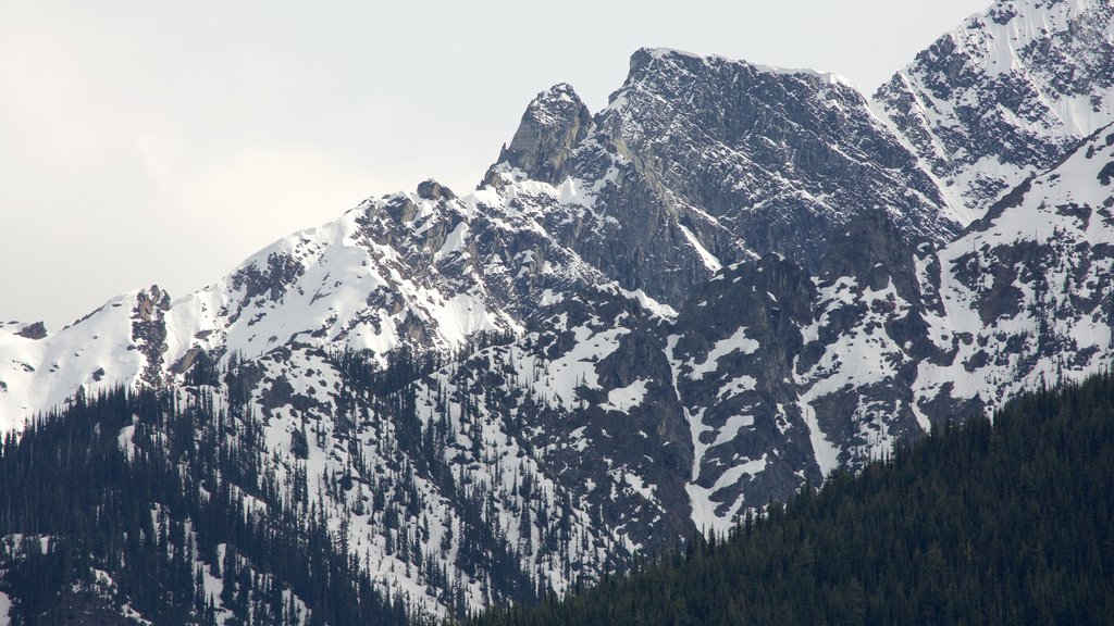 Parque Nacional de Glacier mostrando montanhas e neve