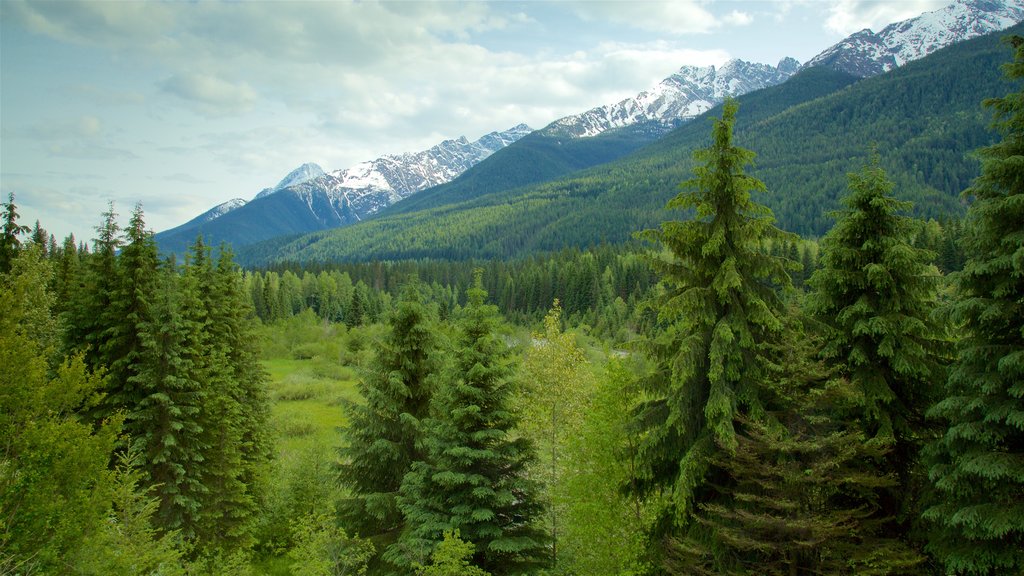 Glacier National Park showing tranquil scenes and mountains