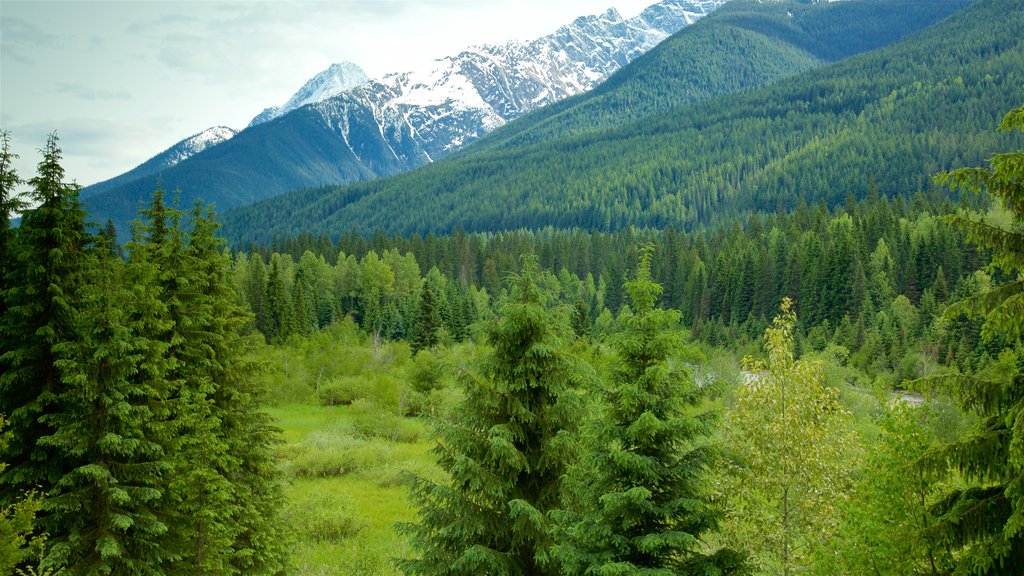 Glacier National Park showing tranquil scenes and mountains