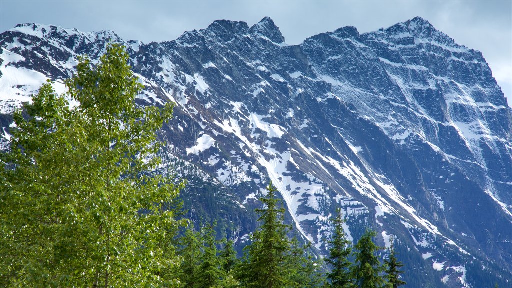 Parque Nacional de Glacier caracterizando neve e montanhas