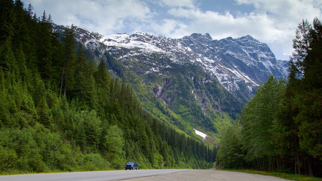 Glacier National Park featuring mountains and tranquil scenes