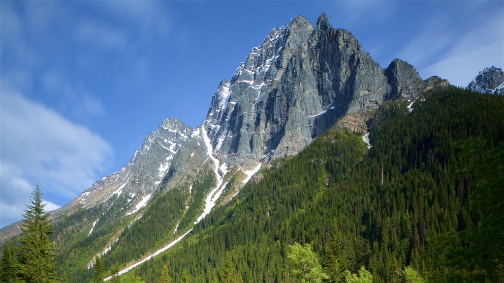 Glacier National Park que incluye montañas