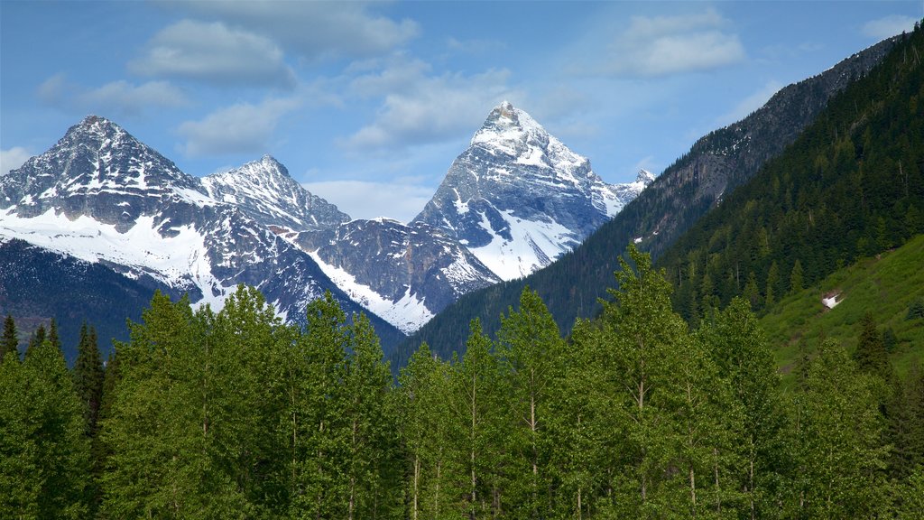 Glacier National Park which includes mountains, snow and tranquil scenes