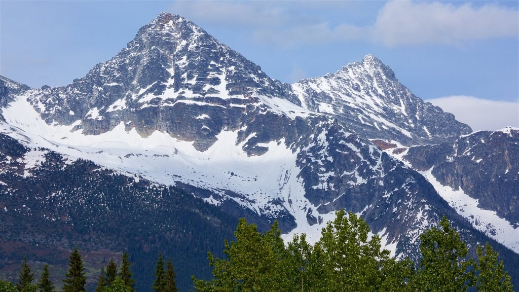 Glacier National Park featuring snow, tranquil scenes and mountains