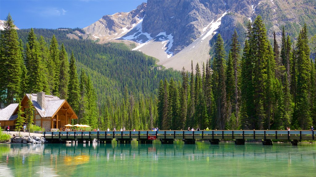 Yoho National Park que incluye un lago o espejo de agua, una pequeña ciudad o aldea y un puente