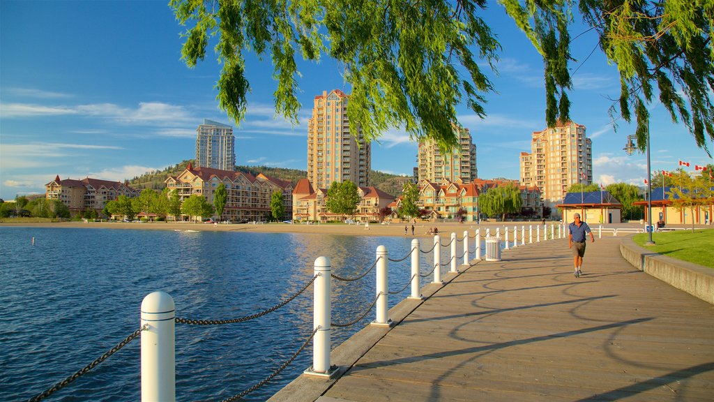 Waterfront Park which includes hiking or walking, a coastal town and a bay or harbour