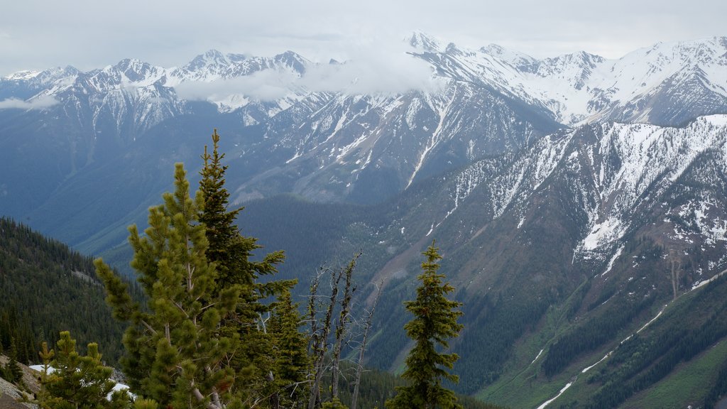 Kicking Horse Mountain Resort which includes snow, tranquil scenes and mountains