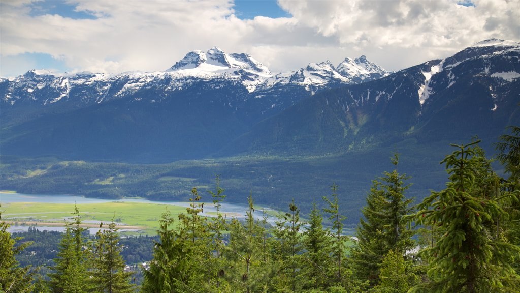 Mount Revelstoke National Park mostrando montañas y escenas tranquilas