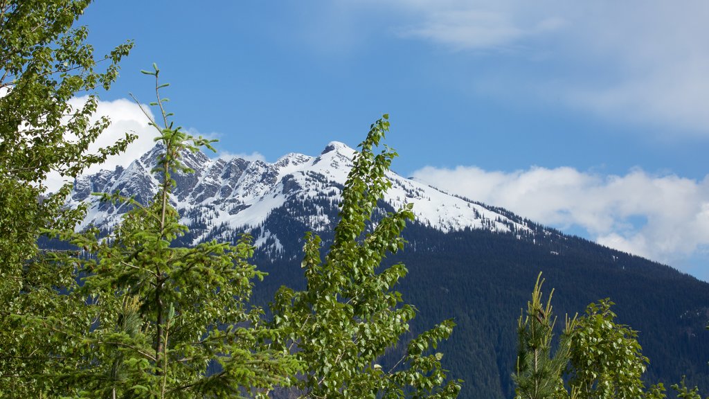 Parc national de Mount Revelstoke qui includes montagnes et neige