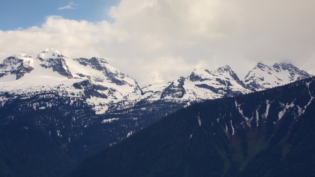 Mount Revelstoke National Park which includes mountains and snow