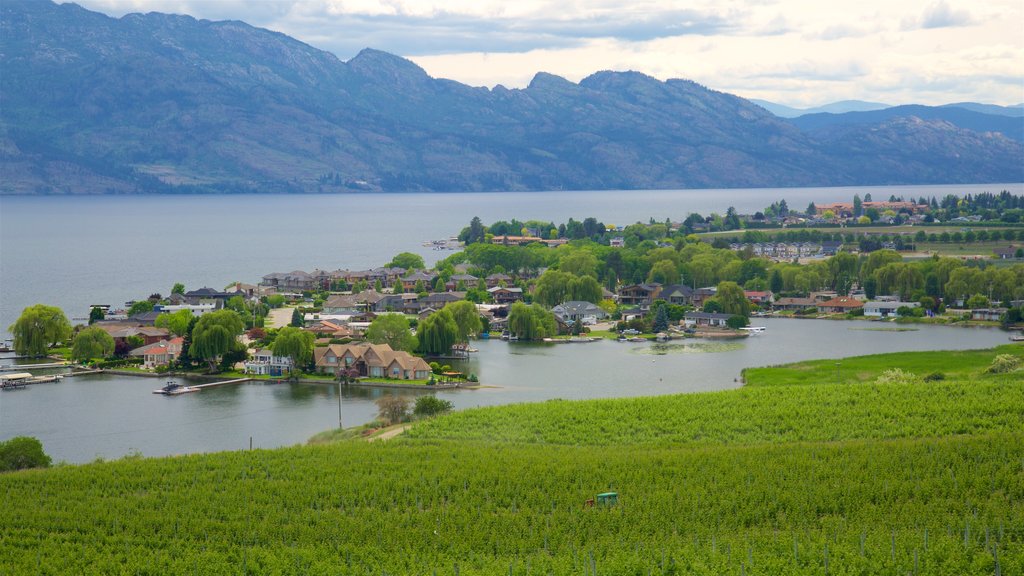 Quails\' Gate Estate Winery que incluye vistas de paisajes, una pequeña ciudad o pueblo y escenas tranquilas