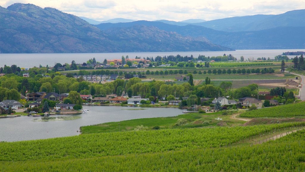 Quails\' Gate Estate Winery ofreciendo un lago o espejo de agua, una pequeña ciudad o aldea y vista panorámica