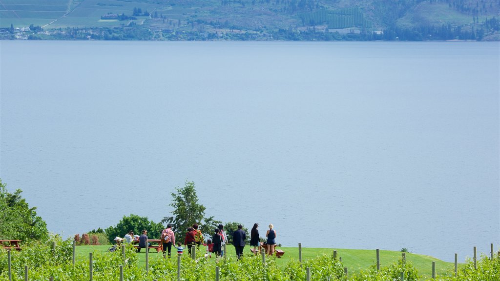 Quails\' Gate Estate Winery ofreciendo un lago o espejo de agua y también un pequeño grupo de personas