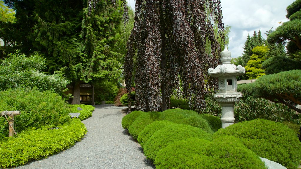 Kasugai Gardens showing a garden