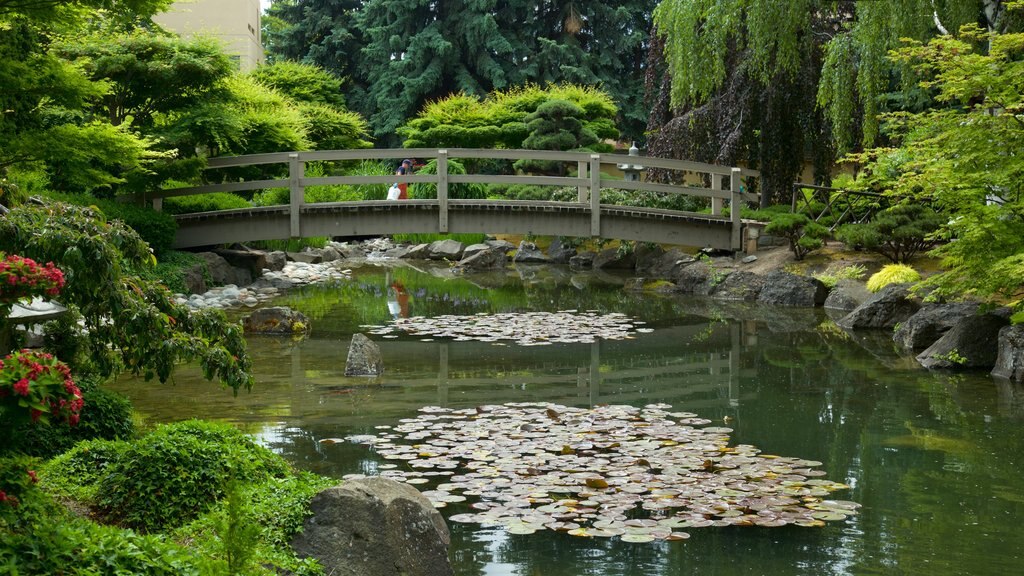 Kasugai Gardens que inclui uma ponte, flores silvestres e um jardim