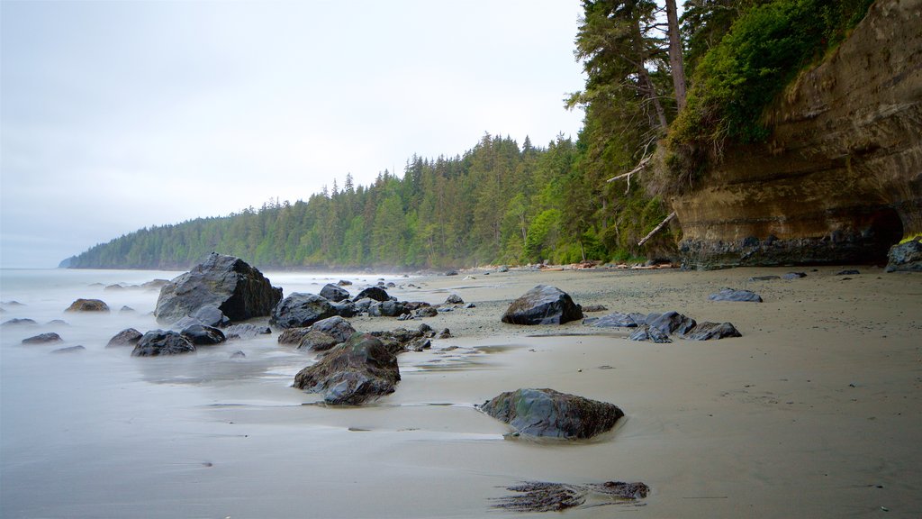 Victoria showing a sandy beach and general coastal views