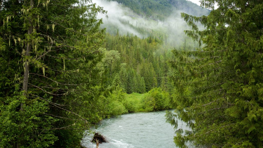 Kaslo som visar en å eller flod och stillsam natur