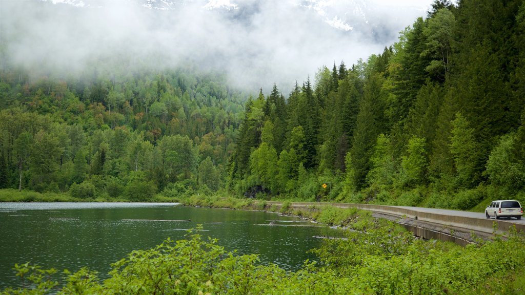 Kaslo mostrando escenas tranquilas, un lago o abrevadero y neblina o niebla