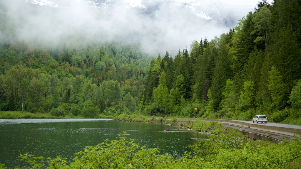 Kaslo which includes mist or fog, tranquil scenes and a lake or waterhole