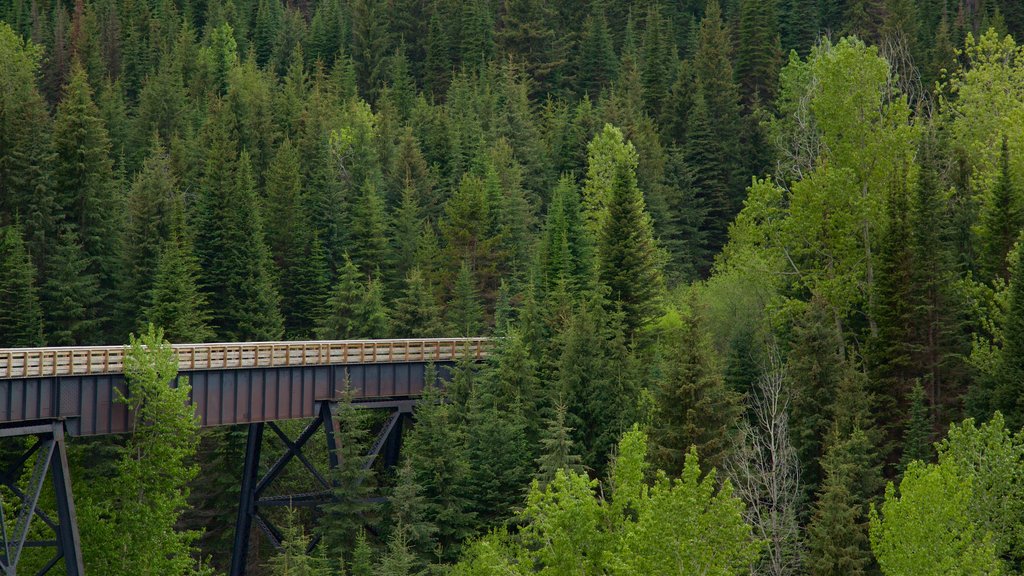 Myra-Bellevue Provincial Park which includes a bridge and tranquil scenes