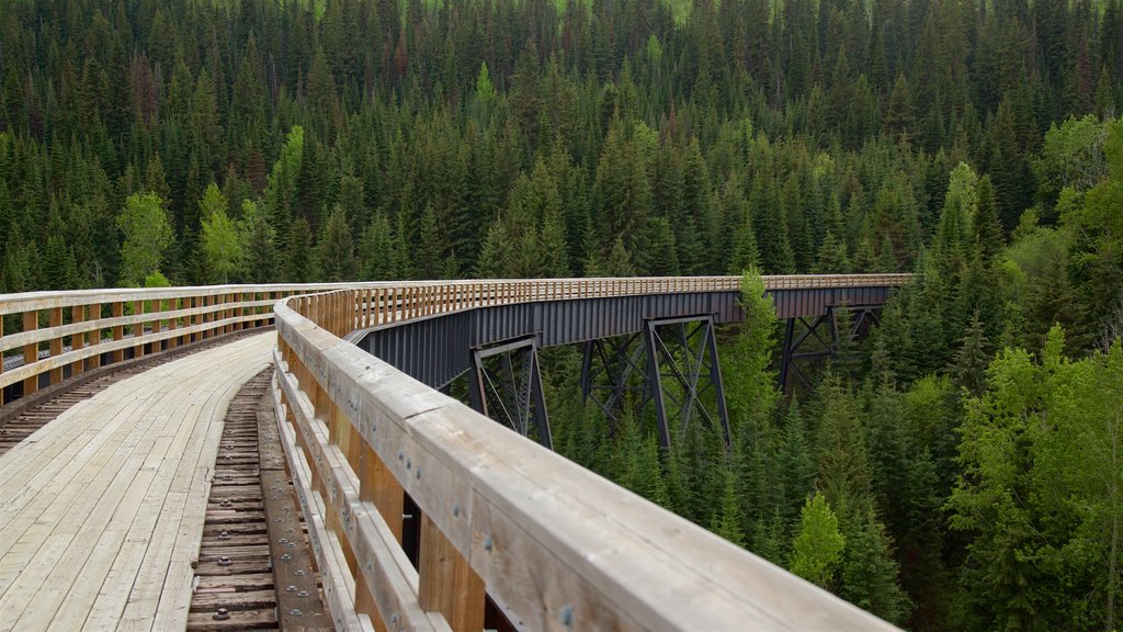 Myra-Bellevue Provincial Park showing a bridge and tranquil scenes